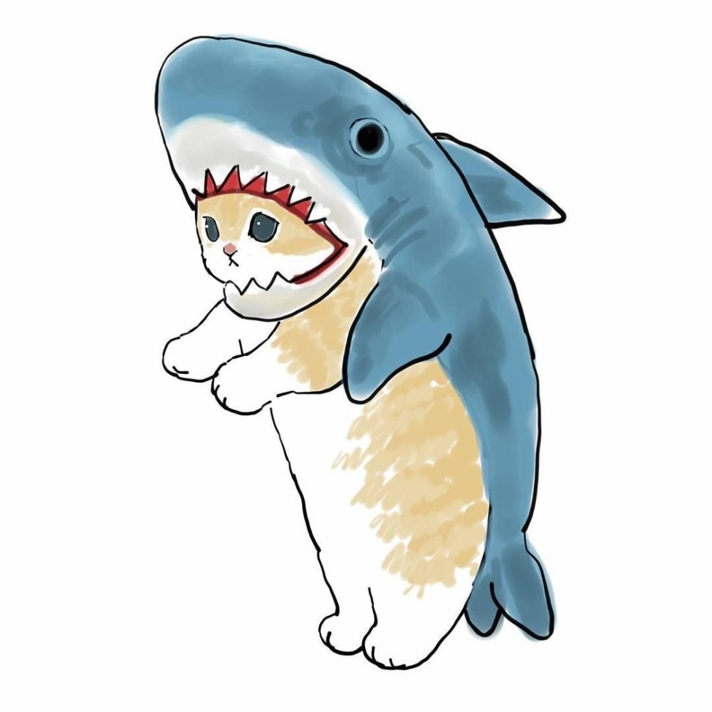 呆萌蓝蓝小鲨鱼,哦不,小猫猫,这个做头像会不会很萌?