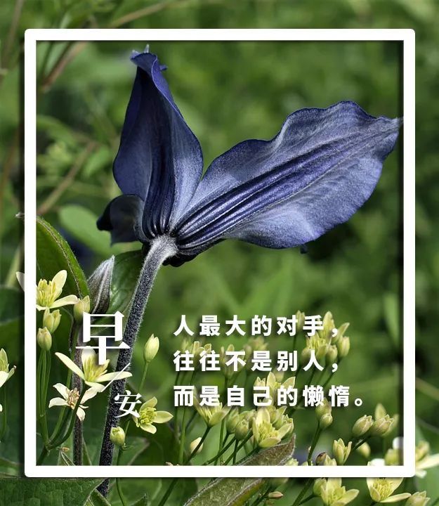 早安心语最新句子 早安心语十句话