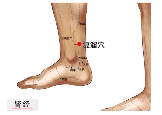 复溜|艾灸|穴位|盗汗