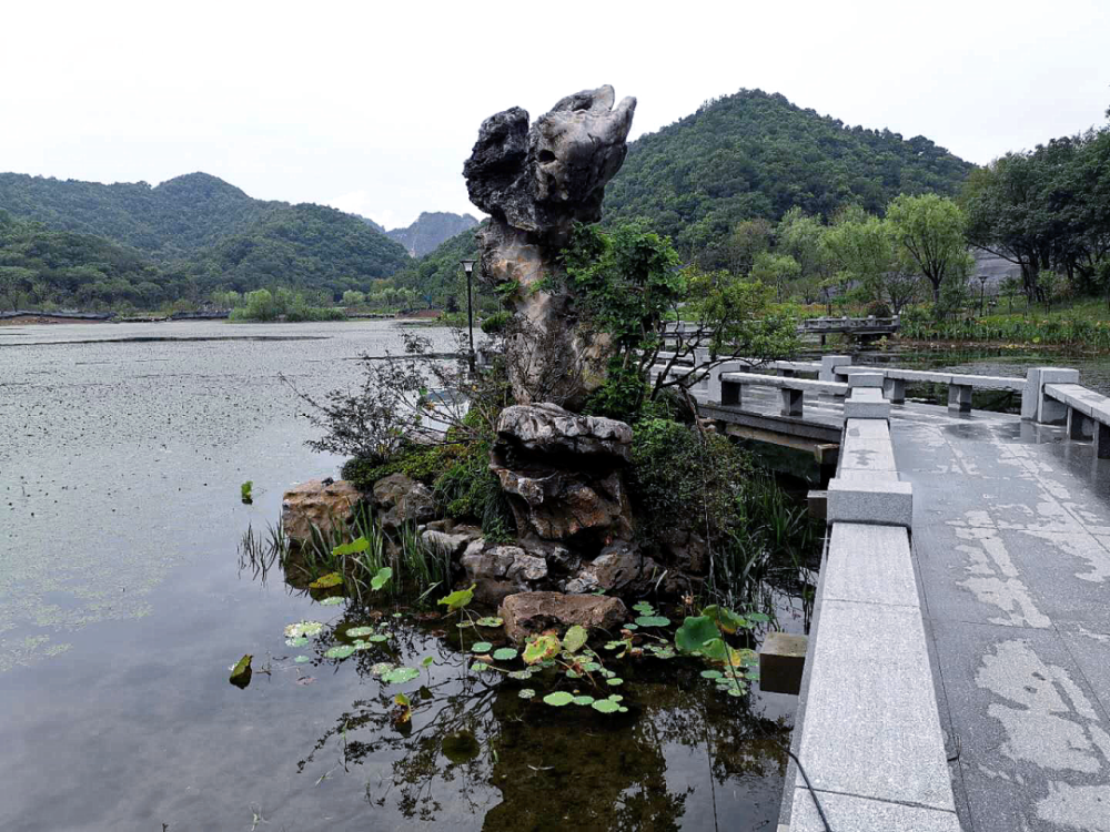 定南县有多少人口_文化和旅游部提醒 暑期出游身心放松,安全意识切勿放松(2)