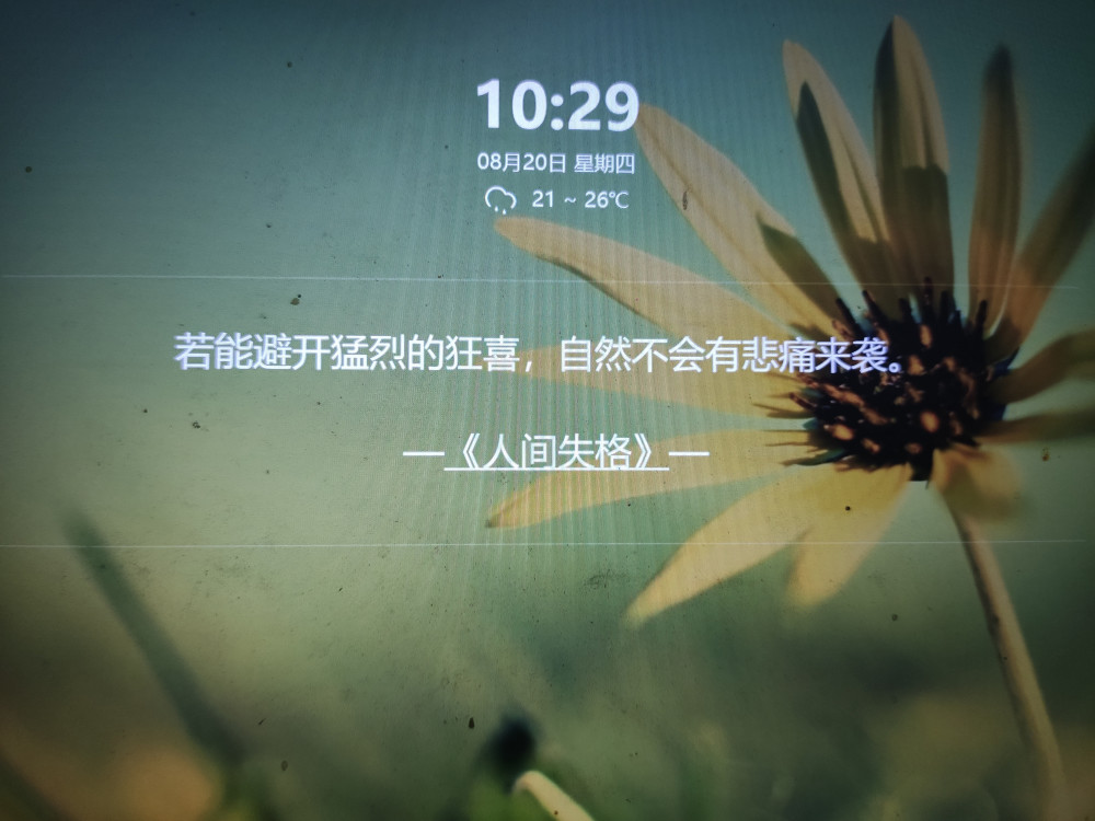 名家语录,派大星经典语录,幸福是什么?艺伎回忆录
