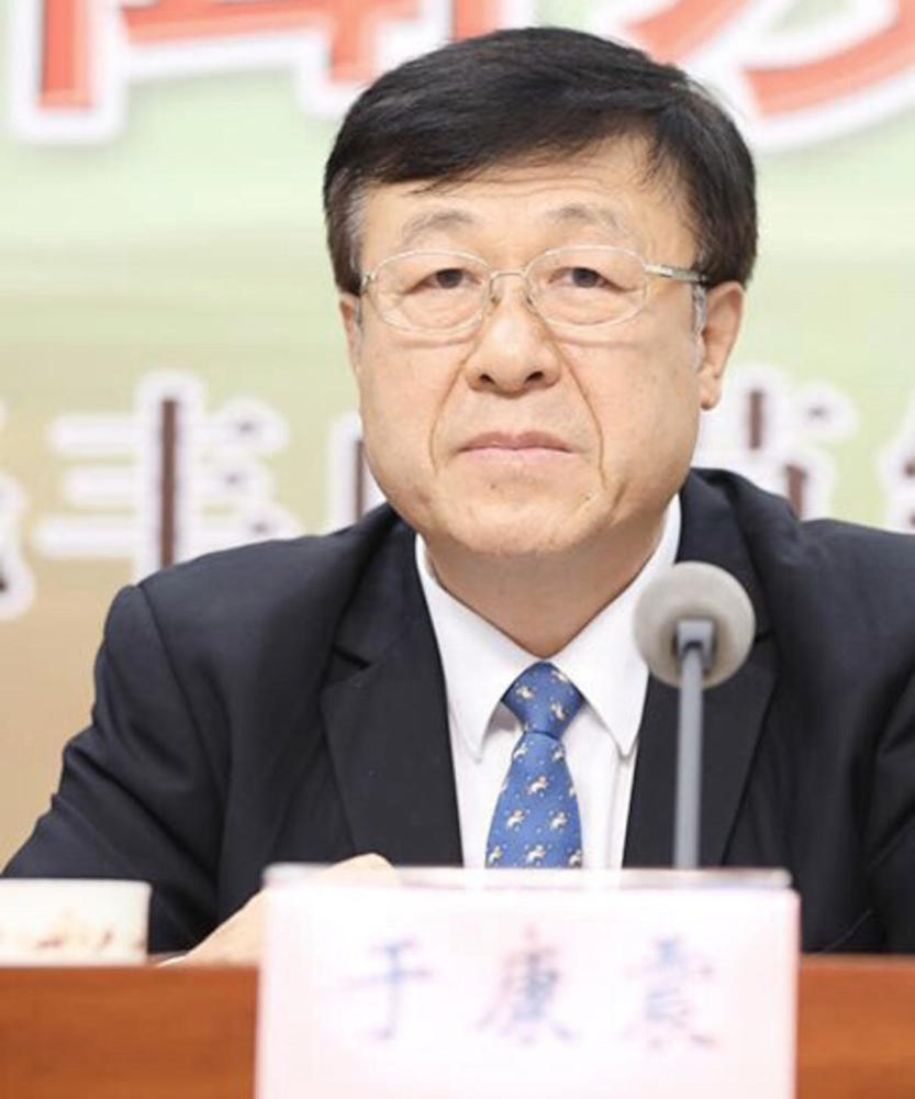 农业农村部副部长于康震 图片来源:中国网