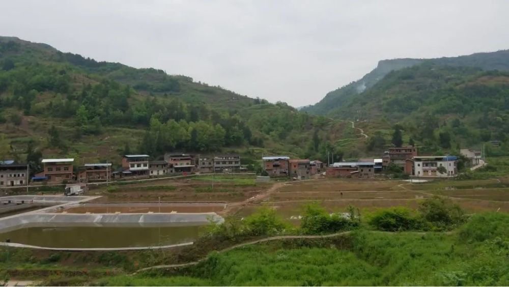 凤院村总人口(3)