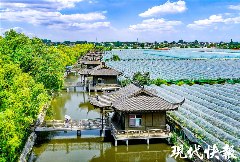 盘城葡萄庄园,格冠生态园,王家古渡等多个旅游景点,沿线按照高标准