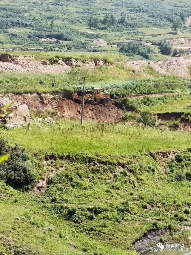 山西省原平市南岭村"私挖滥采"土豆青苗遭殃
