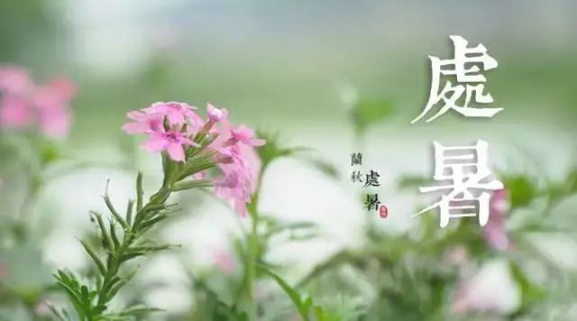 2020处暑节气说说精选 处暑节气关心问候祝福语