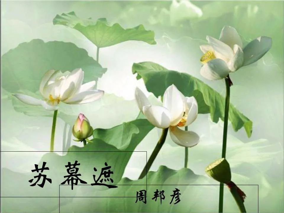 《苏幕遮·燎沉香》叶上初阳干宿雨,水面清圆,一一风荷举_腾讯新闻