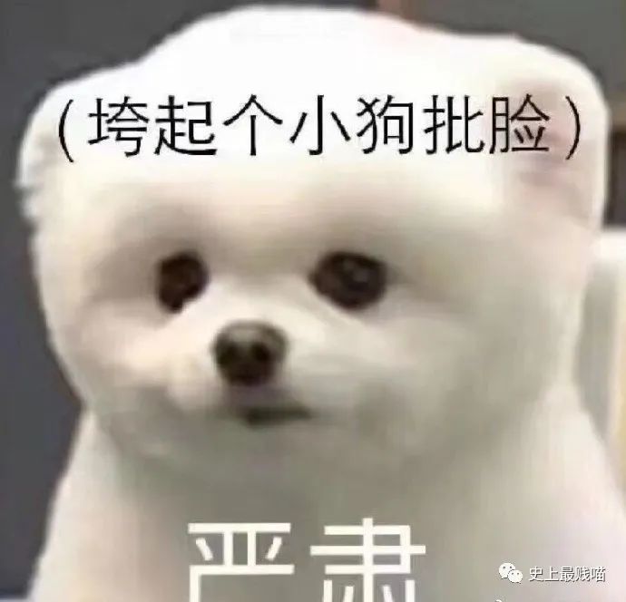 "笑死人不偿命的沙雕聊天记录" 笑出鹅叫～哈哈哈哈哈