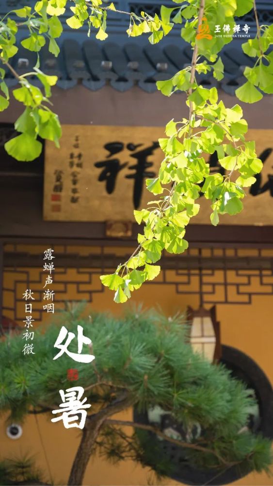 露蝉声渐咽,秋日景初微
