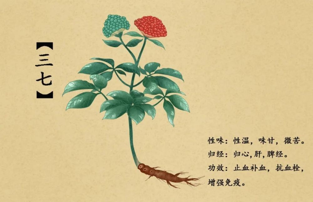 卫气营血 三焦辨证 六经用药 归经指明药物治病的适用范围 指导着中药