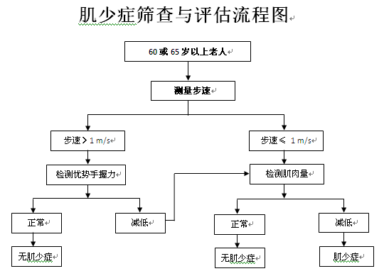 肌少症筛查与评估