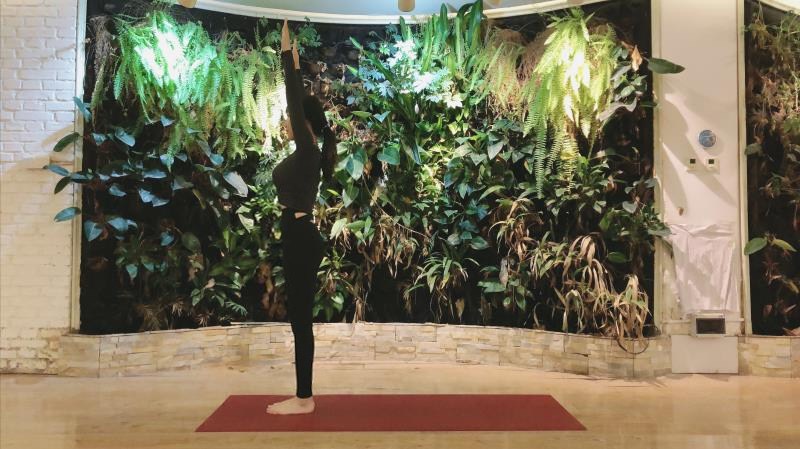 你知道什么瑜伽动作适合早上嘛