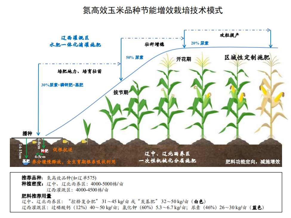 良种配良法氮高效玉米品种节能增效栽培技术模式来了