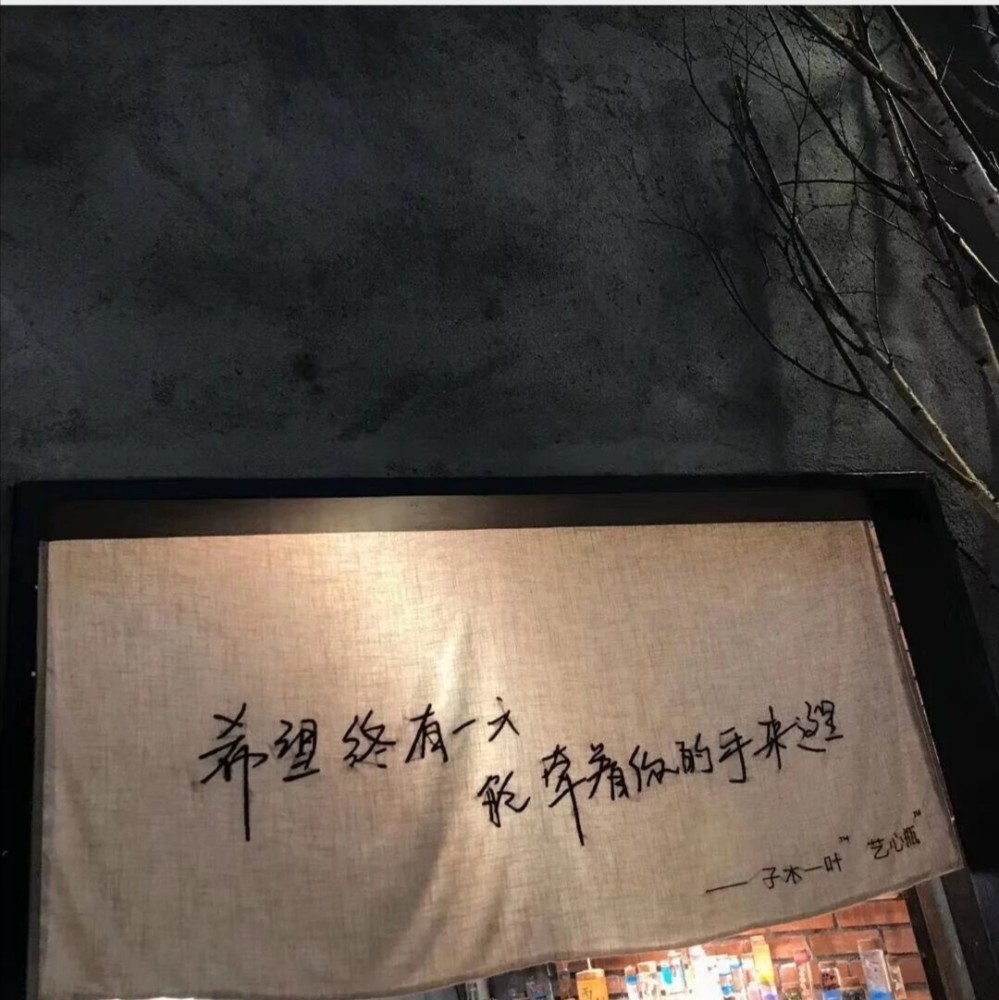 高级单身文案如何优雅回答为什么不谈恋爱