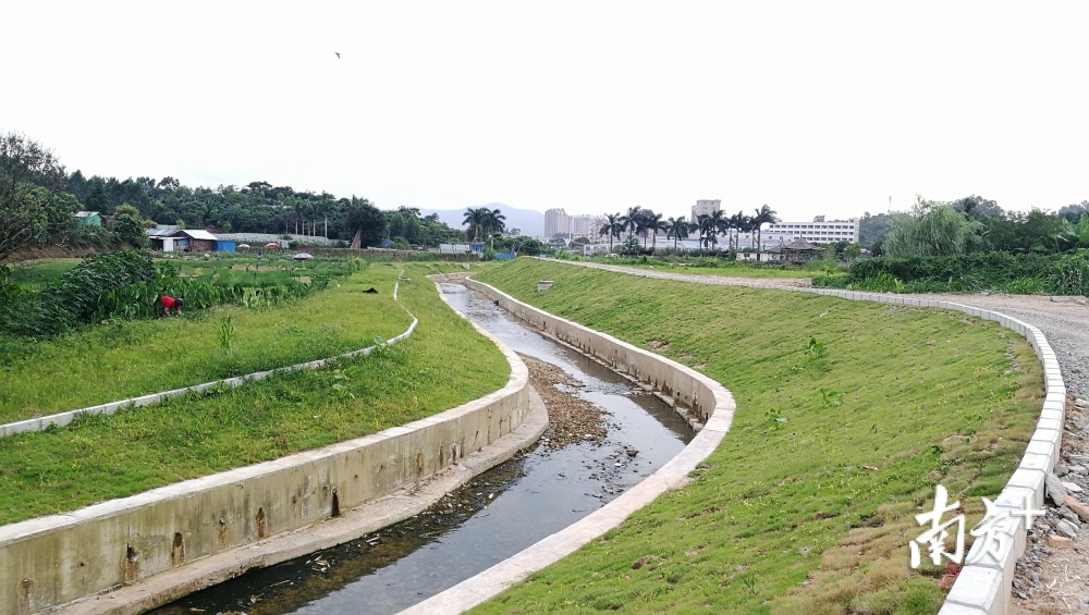 从黑臭水渠到"水清鱼现",大岭山治污组合拳还原生态河涌