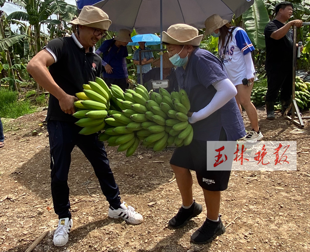 玉林市兴业县各乡镇经济总量_玉林市兴业县新忠村(2)