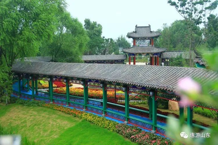 平湖人口变化_中国人口增长率变化图(3)