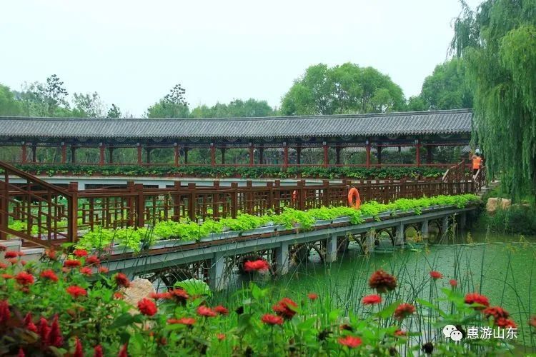 平湖人口变化_中国人口增长率变化图(3)