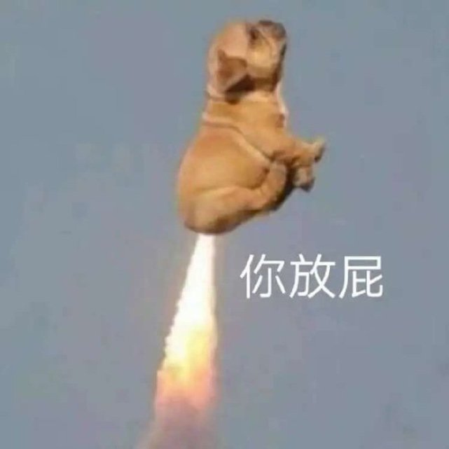 沙雕表情包l想都别想!