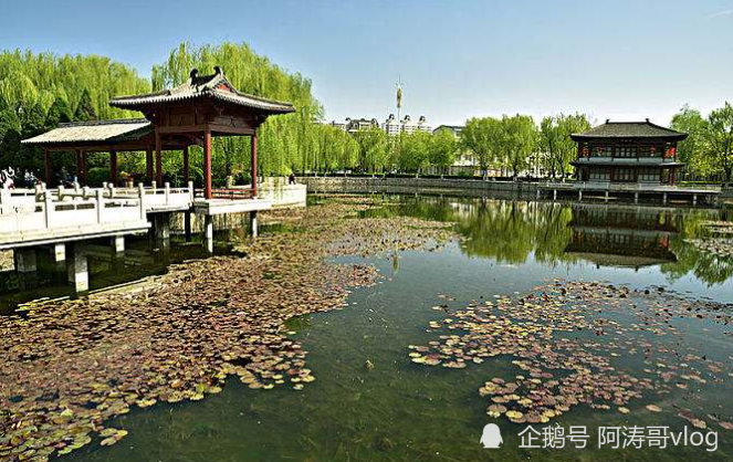 晋州市历年GDP_晋州市第一中学(2)