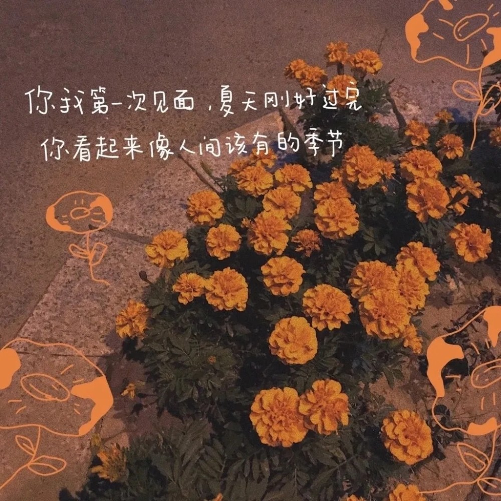 适合七夕的暖心文案