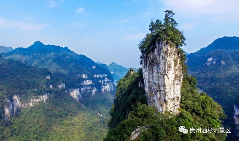 油杉河景区教师节大回馈,老师,您辛苦了