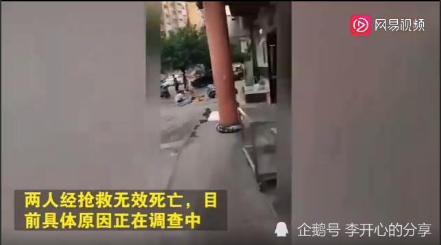 双重悲剧!15岁少女从25楼跳下身亡,父亲欲接跳楼女儿被砸身亡