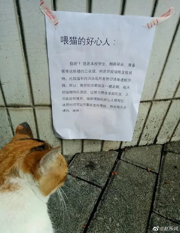 no.4 通缉令