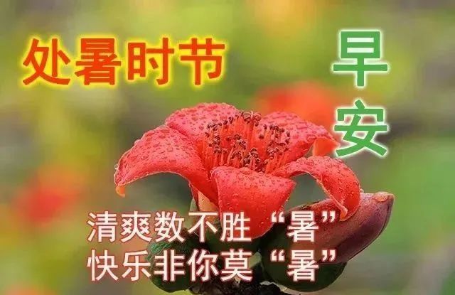 八月早上好最美祝福图片,祝快乐万事顺意