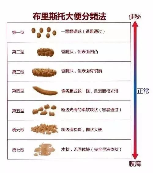 【科普】粪便检验需要注意什么?