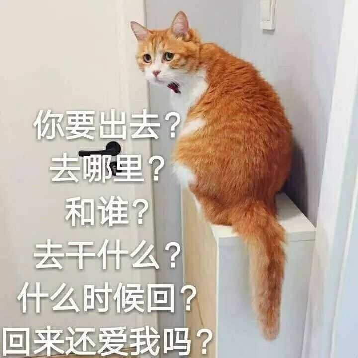 表情包‖你骂我,我吃亏,你就是个小乌龟