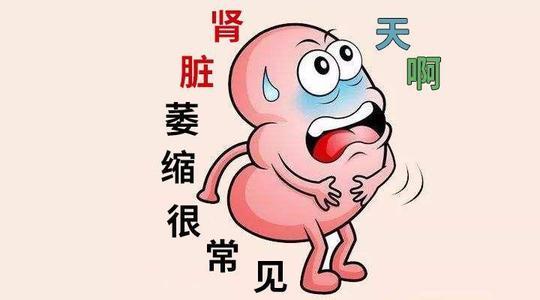 肾萎缩吃什么食物好?
