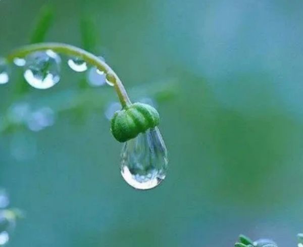 测试:第一感觉,哪一滴水快落下了?测你的洞察力有多强