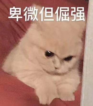 沙雕表情包第六十三期