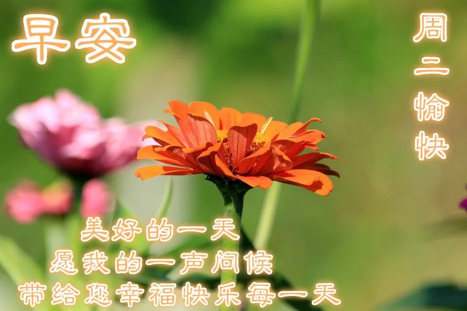 朋友圈最打动人心的早安甜蜜祝福语 清晨最好看的早安问候图片带字