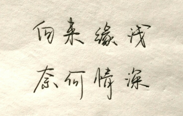 向来缘浅奈何情深