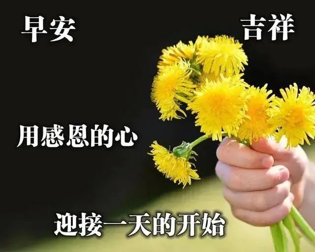 早上好朋友,早安问候祝福语动态漂亮图片,温馨早安问候语图片