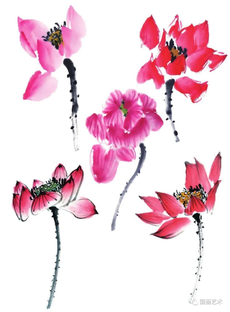 图文教程:一步一步学画写意粉荷花头