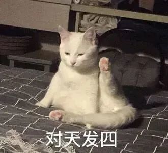 可爱猫咪表情包