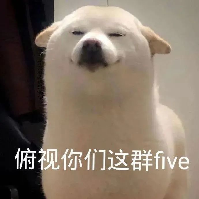 表情包:表情包,轻舟参差见,嗜酒尚迟回