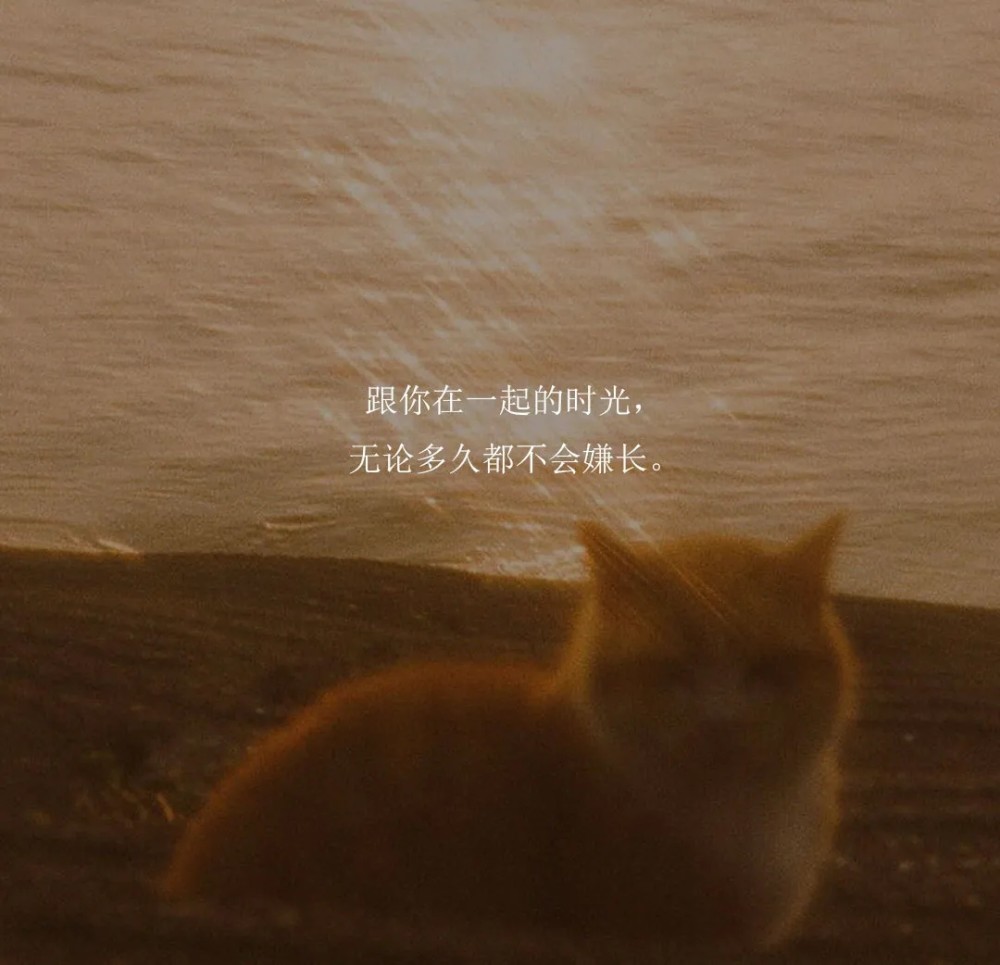 文字背景图//遇见你之后,我满脑子想的都是和你的未来