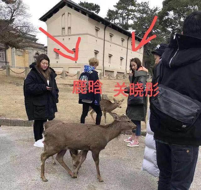 谈3年相差8岁的恋爱,鹿晗关晓彤从"一鹿彤行"到"一路同款"