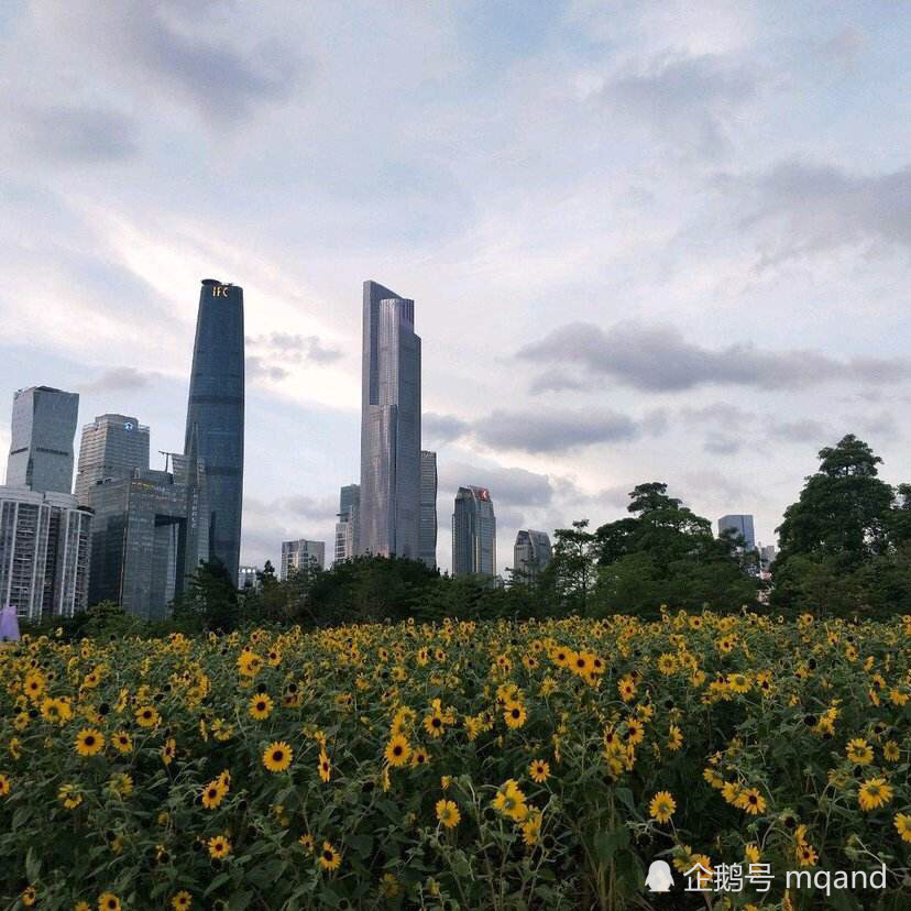 2021年_成都市经济总量达到 亿元_2021年成都市行政区域(3)