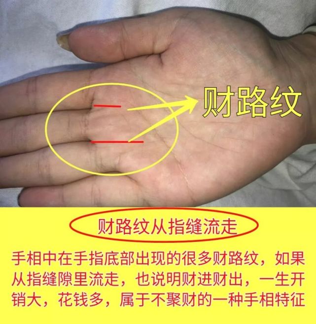 手相|手掌|智慧线