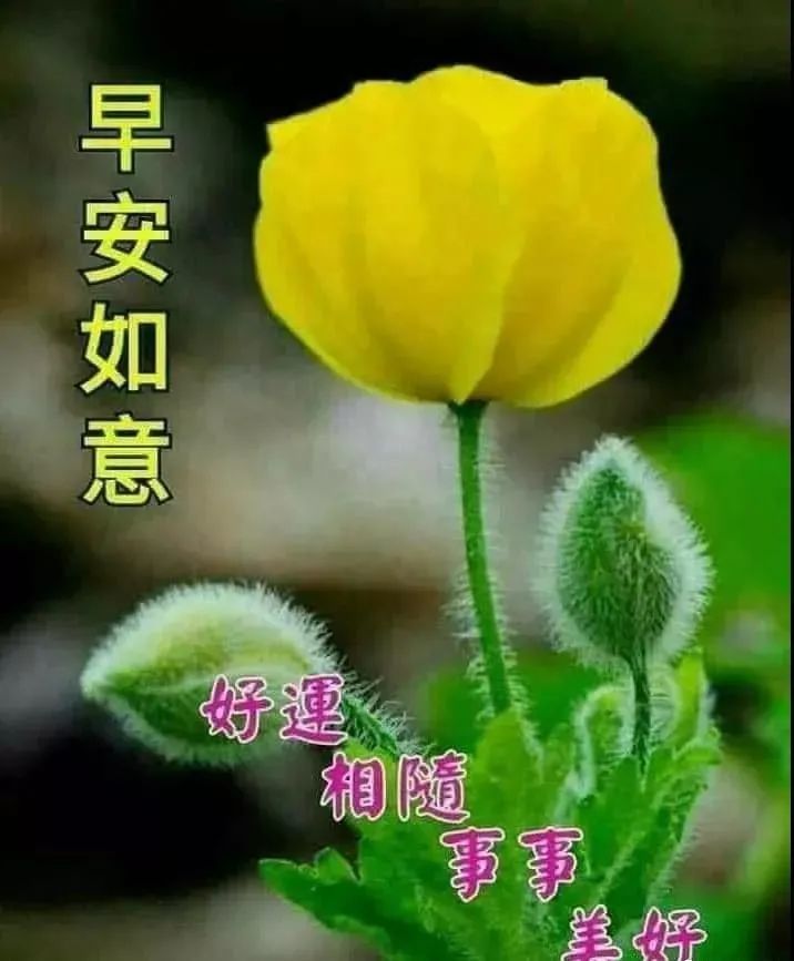 8月25日情人节最漂亮的早上好祝福语图片温馨清晨群发短语暧心问候动