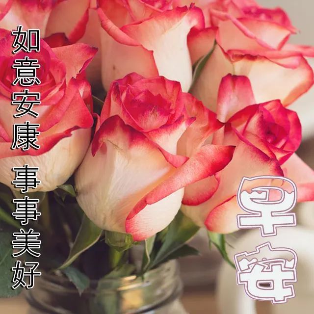 早上好问候语温馨 早晨问候语带图片