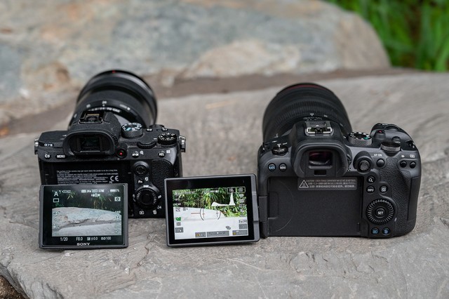 全画幅基准对决 eos r6 vs a7m3谁是性价比之王