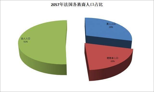 黑人占世界人口比例_从人口出生率来看黑人占全球人口比例将会越来越高