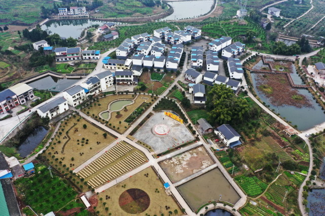 重庆忠县:半城山水,满城橘香|马灌镇|满城|曾志强|忠县|重庆