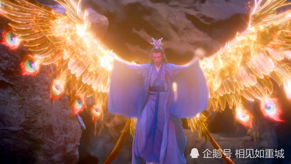 琉璃司凤明明是离泽宫宫主的儿子为何两人的翅膀不一样